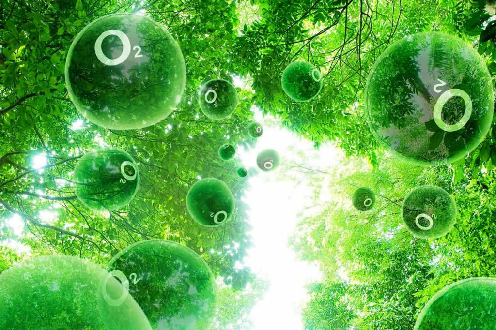 Oxygen is an essential part of life on Earth
