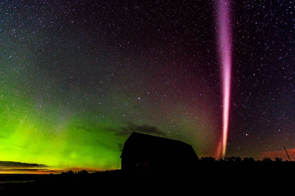Steve is a type of aurora borealis. Discovered in 2017