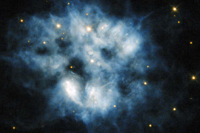 White dwarfs: what science knows about surprisingly dense stars