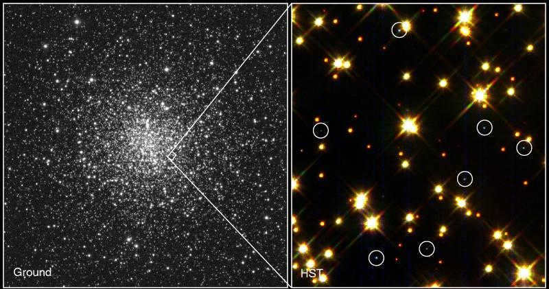 Many white dwarfs in the globular cluster M4, Hubble image