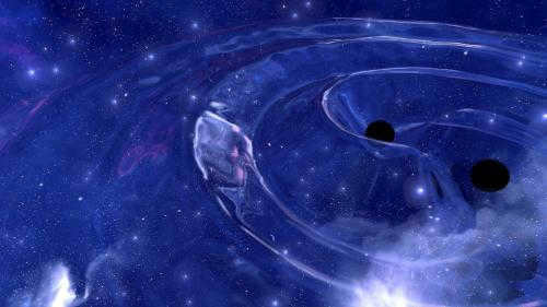 Life inside a black hole +81