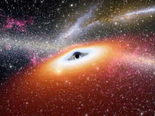 How black holes are organized. Black Holes