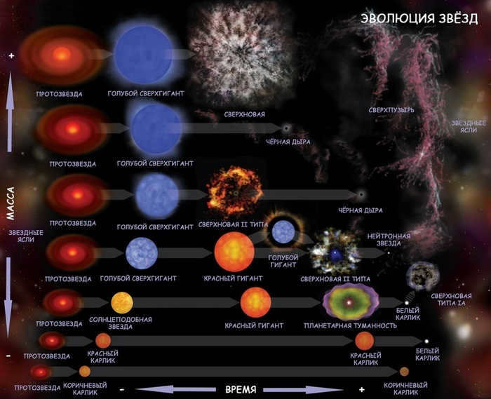 Stellar evolution