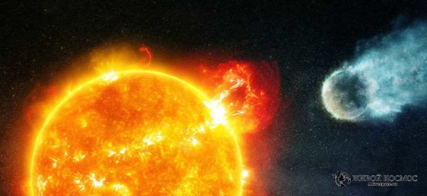 about the nature of red dwarfs