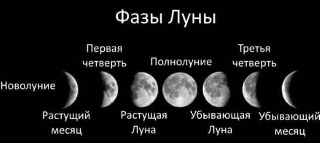 Is the Moon a planet, satellite or star?