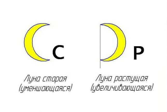 Is the Moon a planet, satellite or star?