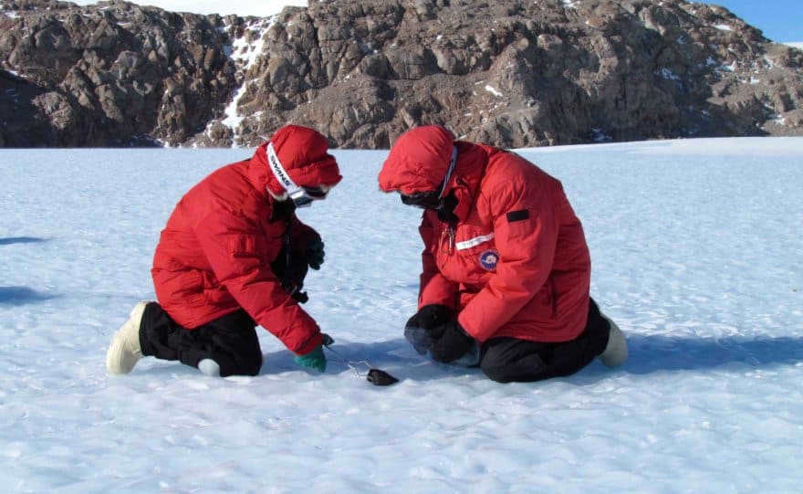 Researchers have discovered a new meteorite in Antarctica