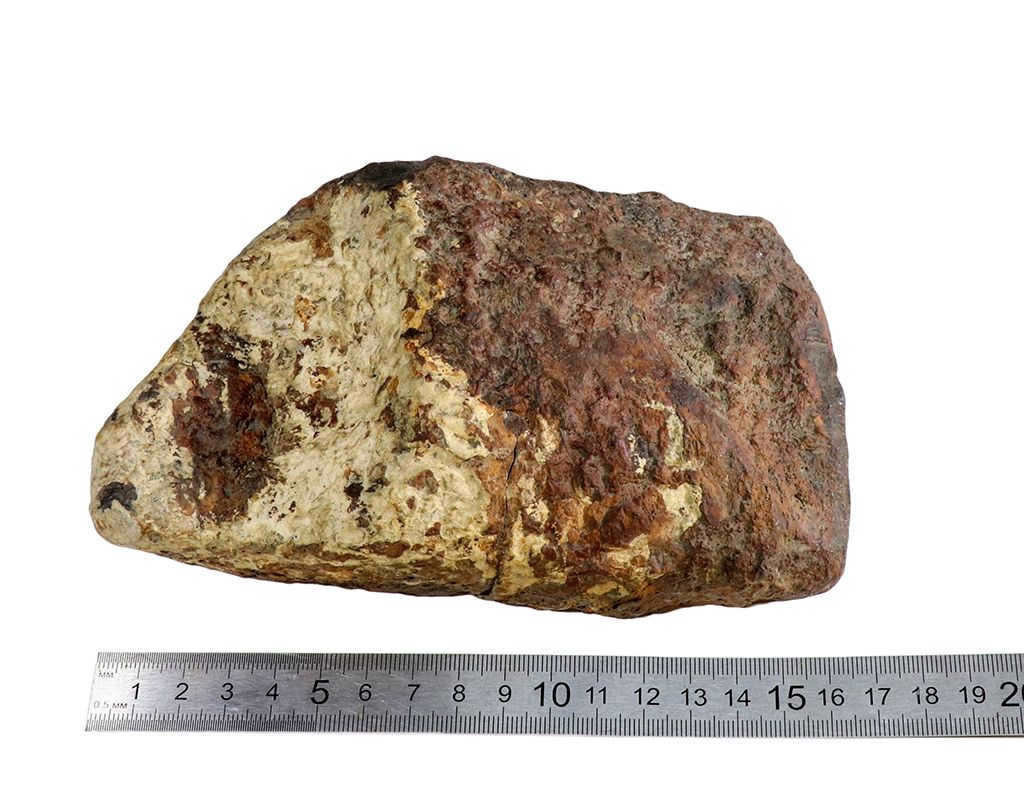 Tsarev stone meteorite