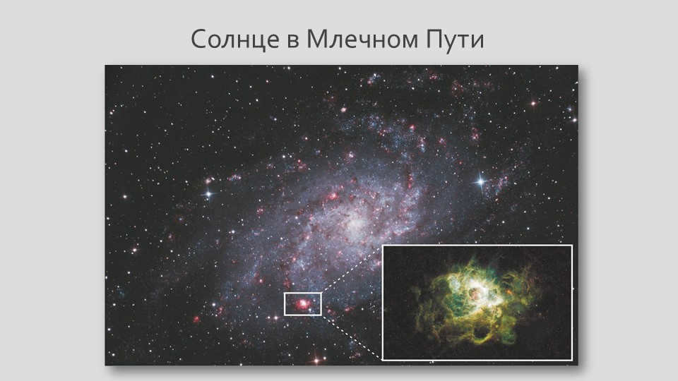 The Sun in the Milky Way