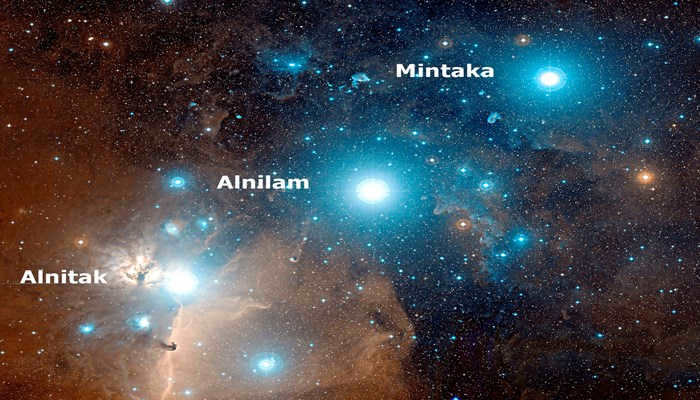 Stars of the constellation Orion