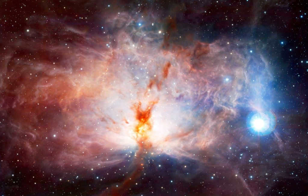 NGC 2024