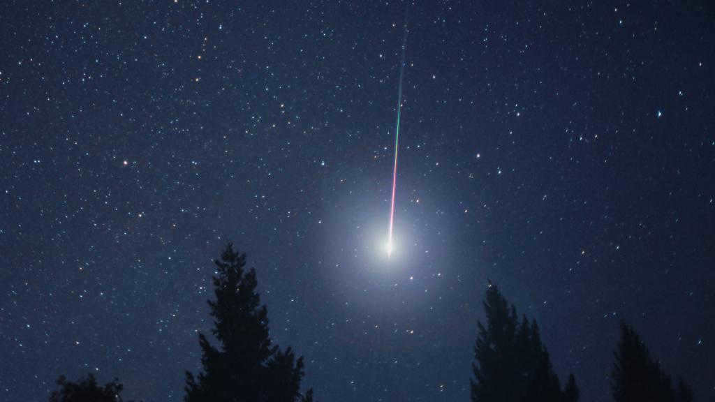 it's time to make a wish