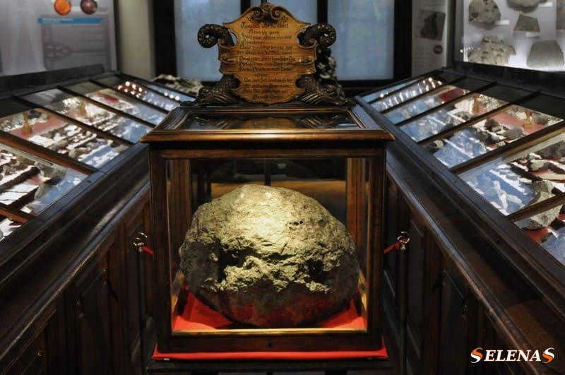 A large stone meteorite in a dark wood display case, surrounded by other rock specimens.