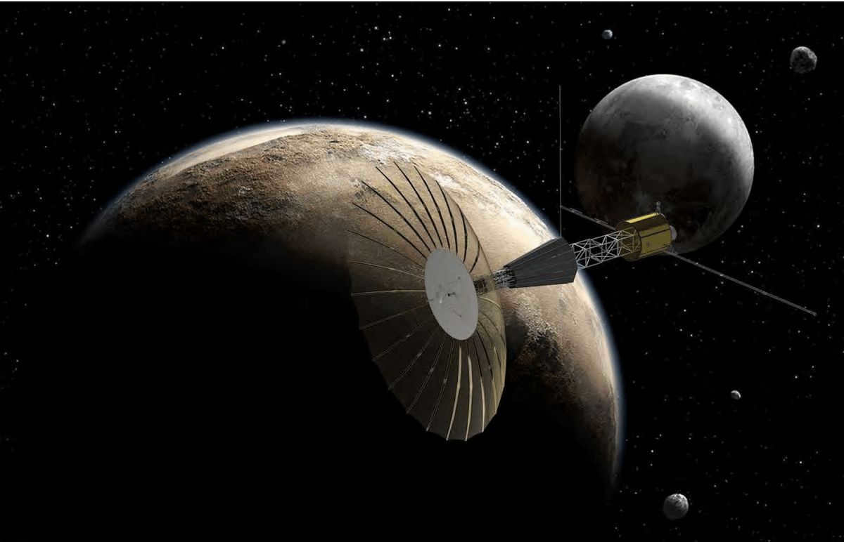 Kuiper belt in the universe