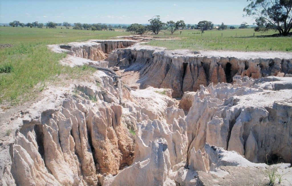 A visual demonstration of soil erosion