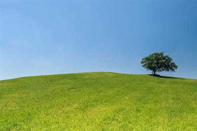hill-421569_640.jpg