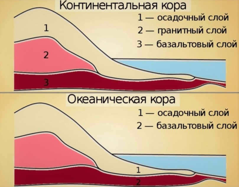 Comparison of continental and oceanic crusts