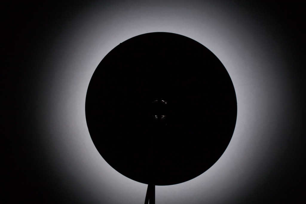the nature of lighting with a portrait plate
