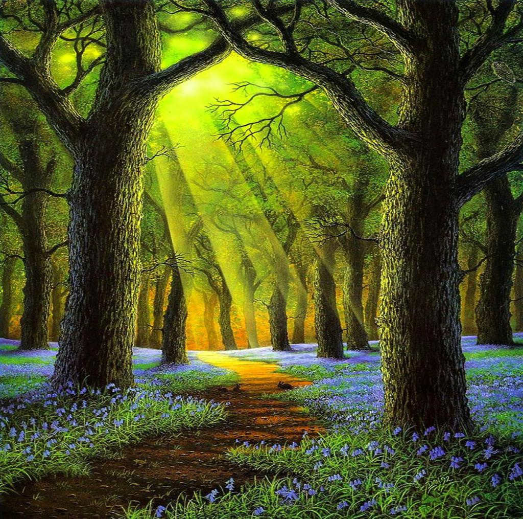 sun and nature