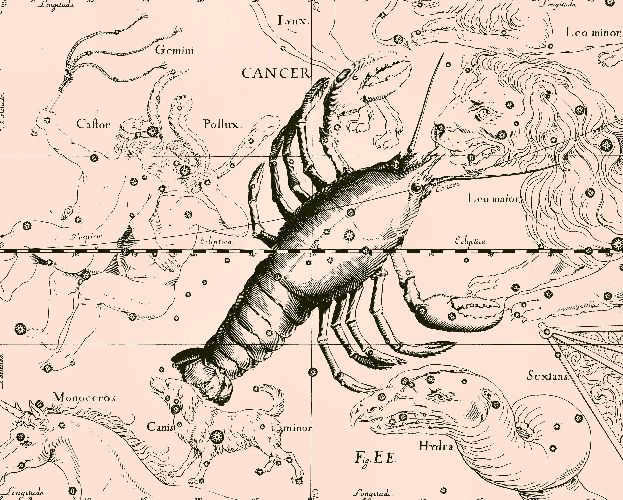 The constellation of Cancer in Jan Hevelius' atlas