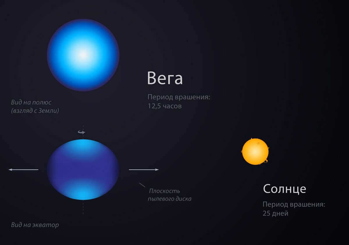 Vega star