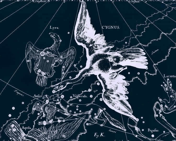 The constellation of Lyra and the Swan, drawing from Jan Hevelius's ancient atlas of the starry sky
