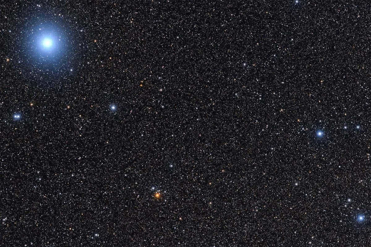 The star Vega