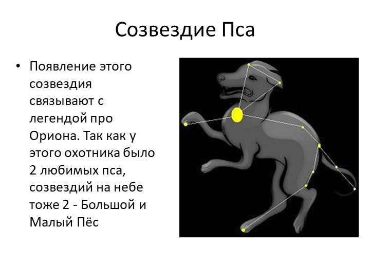 The constellation of the DogThe appearance of this constellation is associated with the legend of Orion. So to. 