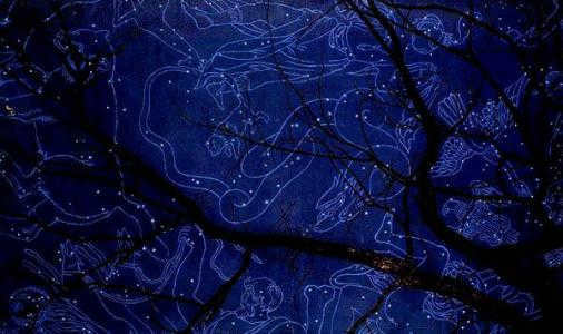 Stars and Constellations