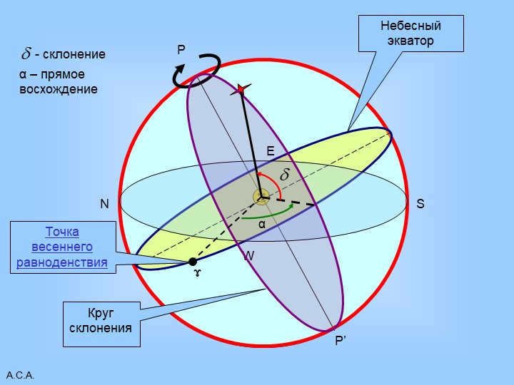 A.S.A.PP'Celestial EquatorWENSCircle of declination ɤThe point of the vernal equinox is. 