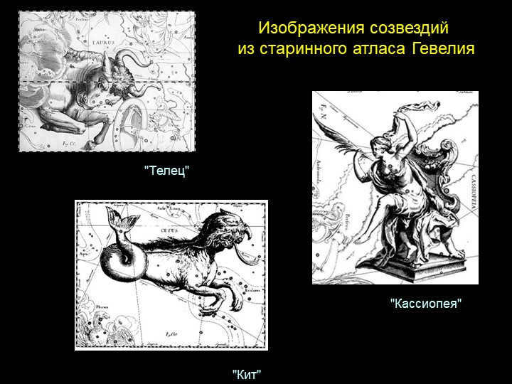 Images of constellations from the ancient atlas of Hevelius "Taurus" "Whale" "Cassiopeia".