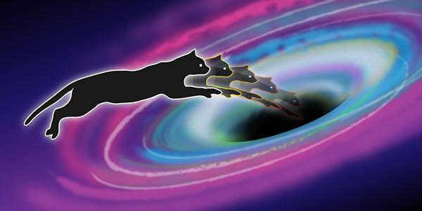 what happens if you fall into a black hole