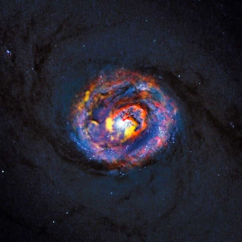 Composite view of the galaxy NGC 1433 with a black hole in the center.