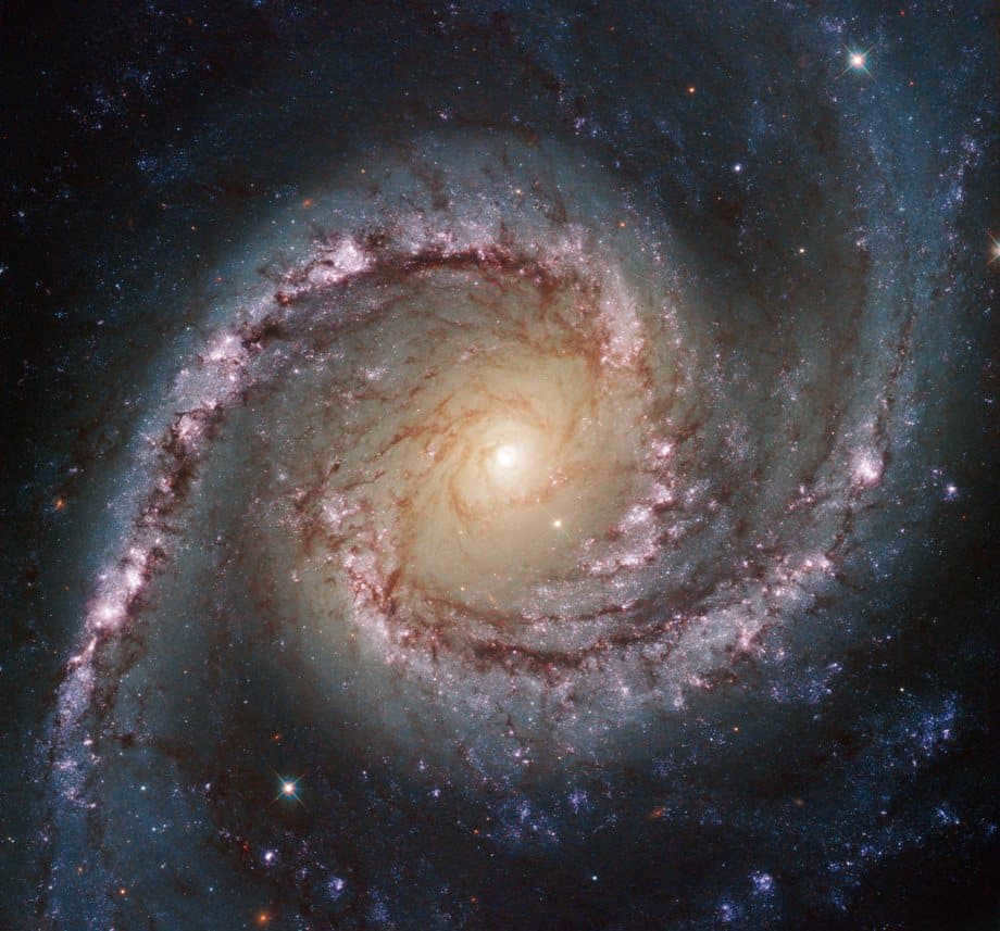 A typical view of a Seyfert galaxy is the spiral galaxy NGC 1566