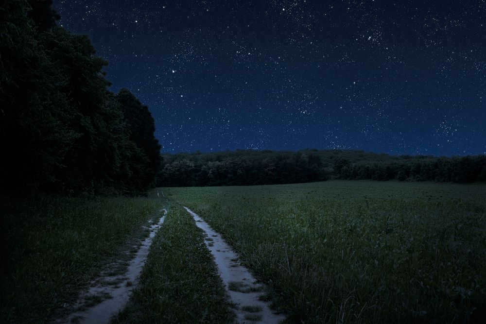 How to find planets in the sky?