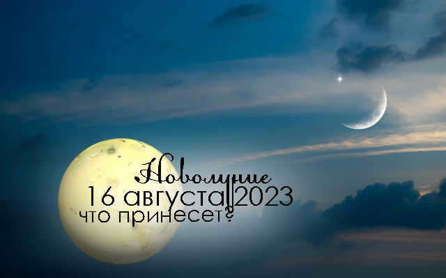 newmoon0823-5.jpg