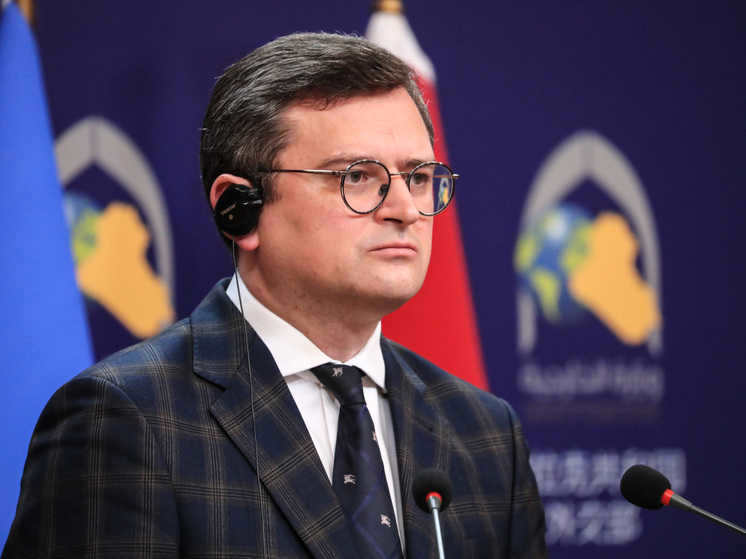 Ukraine wanted to receive Western weapons before its "victory"