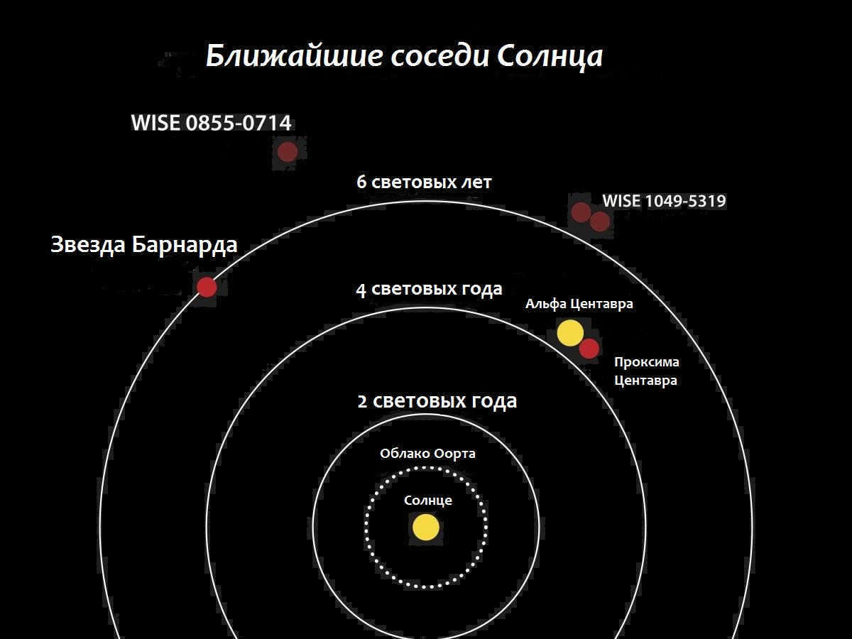 Centauri constellation: where it is located, brightest stars, exoplanets, new discoveries and facts
