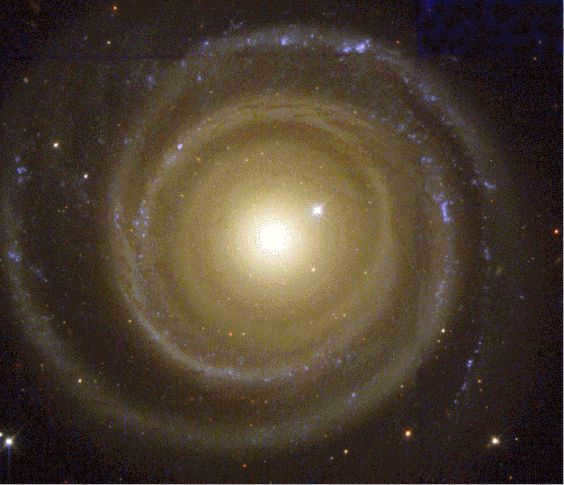 Centauri constellation: where it is located, brightest stars, exoplanets, new discoveries and facts