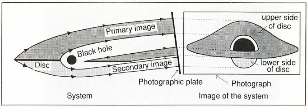 A black hole surrounded by a bright disk is observed from a large distance at an angle of 10° to the disk plane.