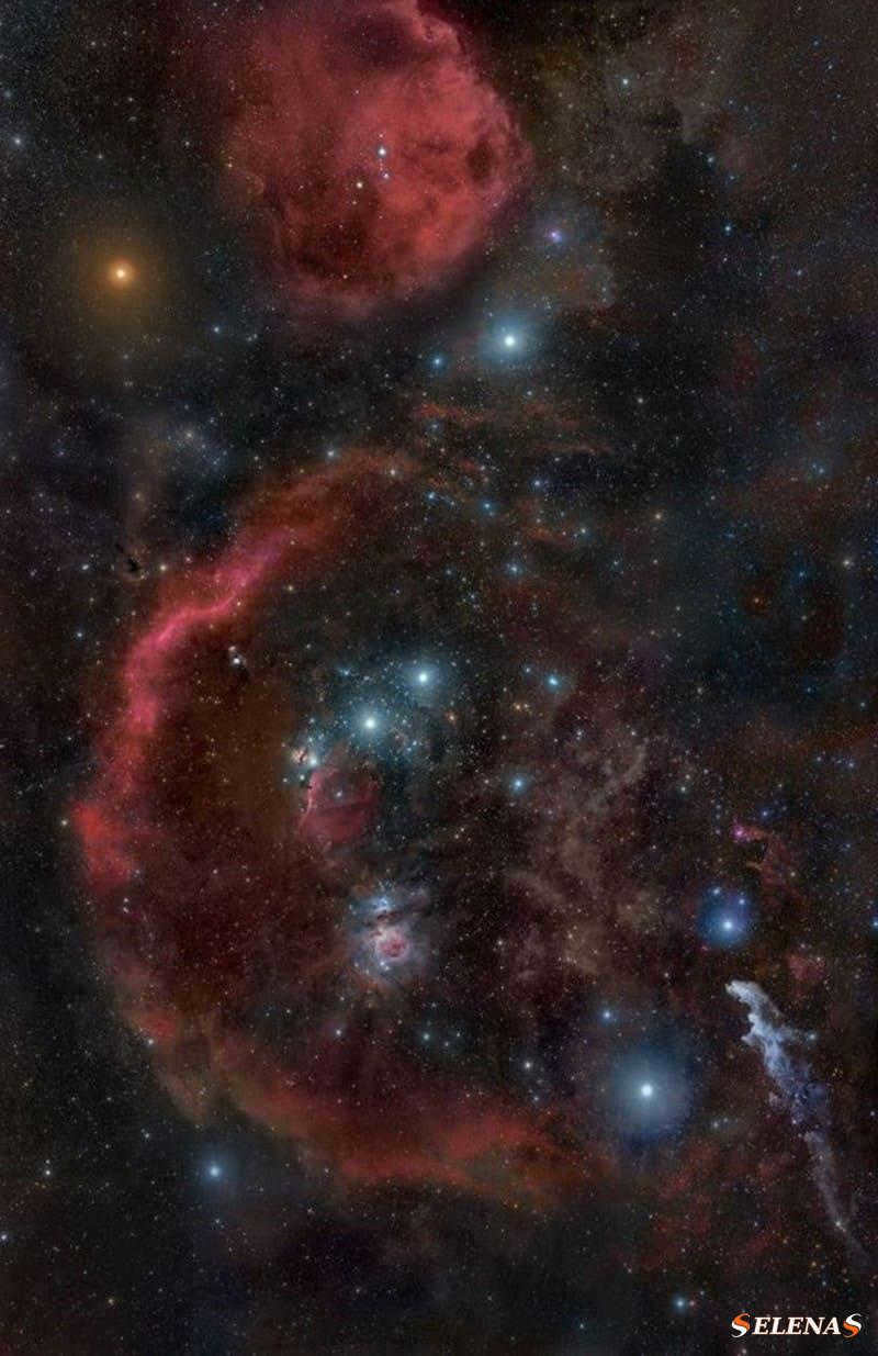 The Horsehead Nebula is only a small part of Orion's complex of molecular clouds