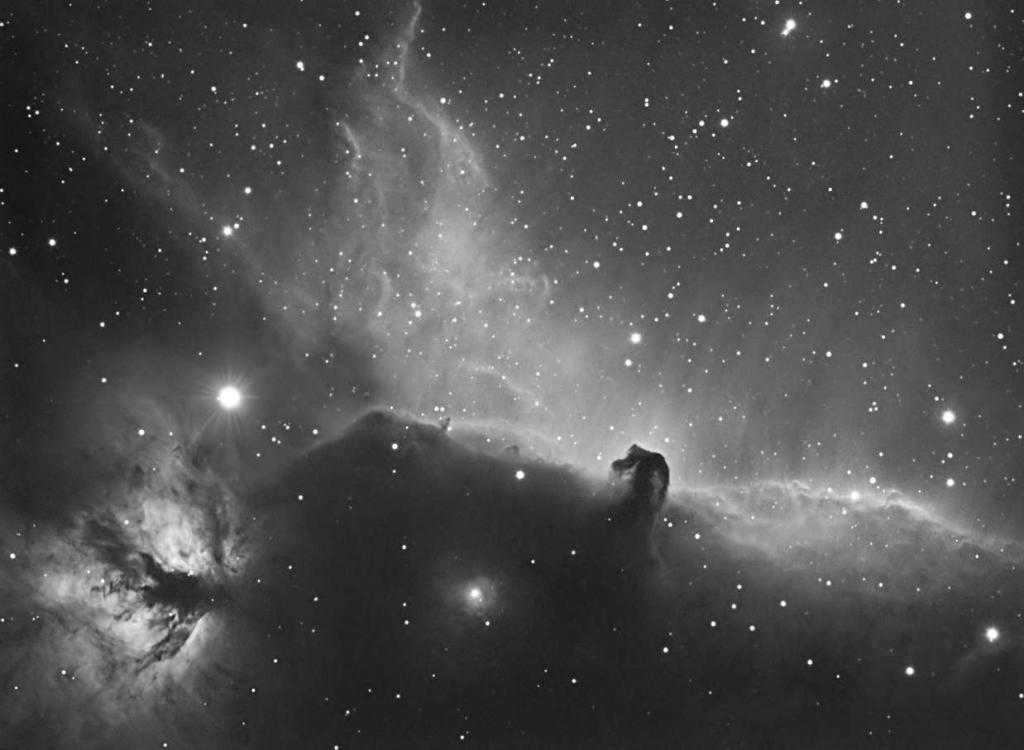 Horsehead in hydrogen rays