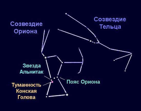 Horsehead in the constellation Orion
