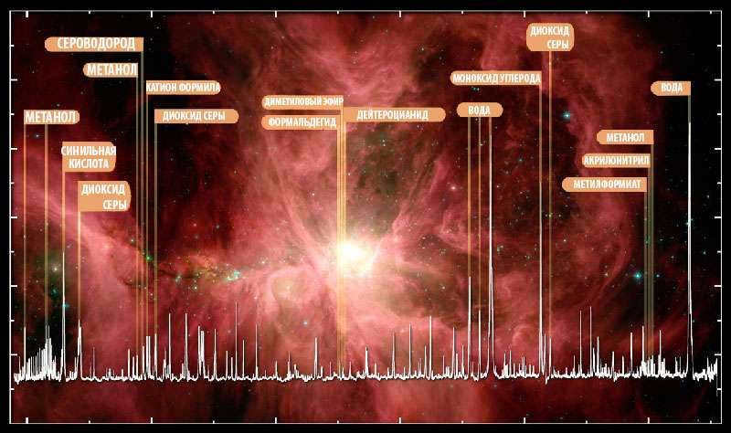 Composition of the interstellar cloud