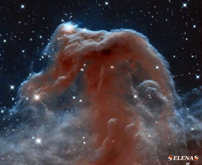 The Horsehead Nebula, imaged here by the Hubble Space Telescope