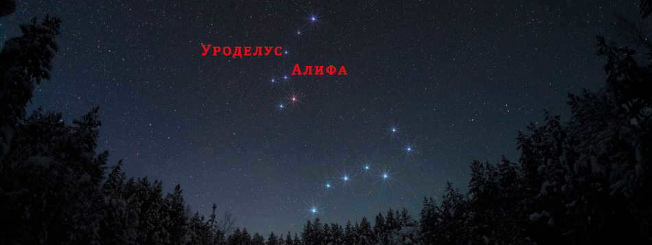 Polar Bear is the constellation with the most famous Polaris.