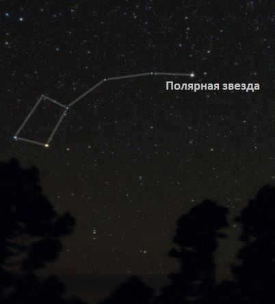 Polar Bear is the constellation with the most famous Polaris.
