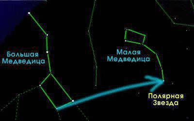 Where is the constellation of the Little Bear?