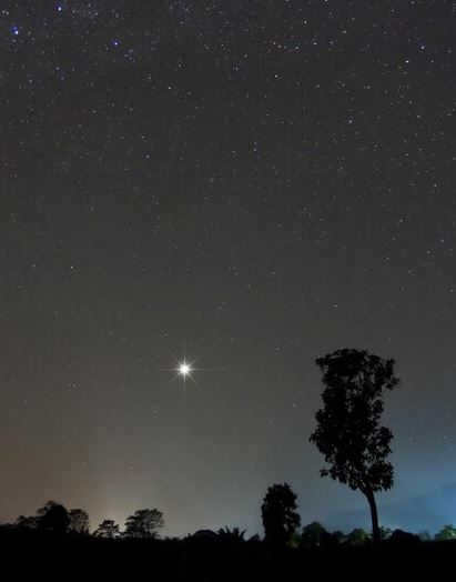 Polar Bear is the constellation with the most famous Polaris.