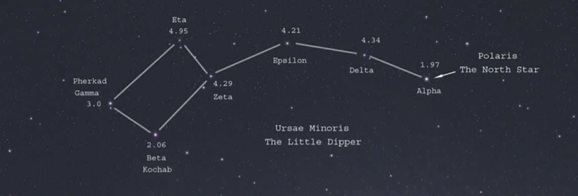 Polar Bear is the constellation with the most famous Polaris.